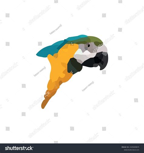 Abstract Parrot Head Drawing Vector Illustration Stock Vector (Royalty Free) 2105049875 ...