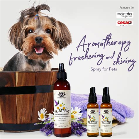 Natural Dog Pet Odor Eliminator Spray - Gerrard Larriett