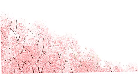 Japanese Cherry Blossom Wallpapers - Top Free Japanese Cherry Blossom Backgrounds - WallpaperAccess