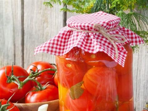 Easy Tomato Canning Recipes To Preserve Your Tomato Harvest