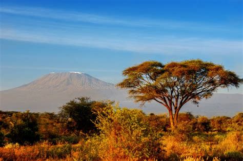 Beautiful Kilimanjaro Mountain after Sunrise in Morning, Kenya, Africa ...