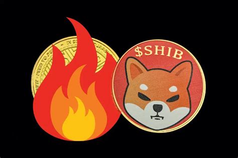 Half Of The Shiba Inu (SHIB) Supply Has Already Been Burned | Criptokio