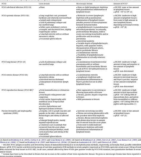 penciclovir | Semantic Scholar