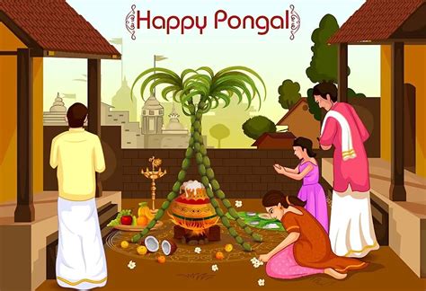 Pongal Festival 2024: History, Importance, How It Is Celebrated & Dishes