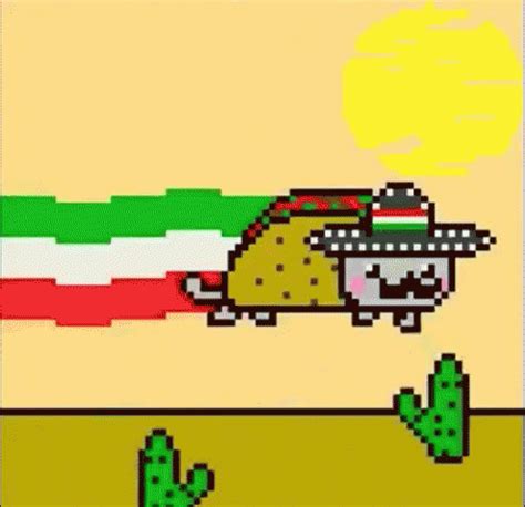 Taco Cat GIF - Nian Cat Tacos - Discover & Share GIFs