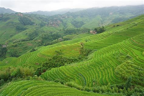 HD wallpaper: longsheng, china, terraces, vegetation, green ...