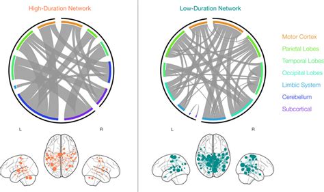 Human Brain Mapping | Neuroimaging Journal | Wiley Online Library