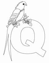 Free Printable Alphabet Coloring Pages For Kids  Best sketch template