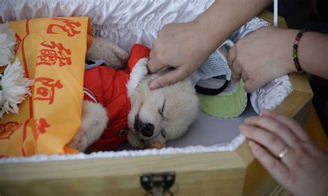 Dog owner holds 8,000-yuan funeral for departed pet - Global Times