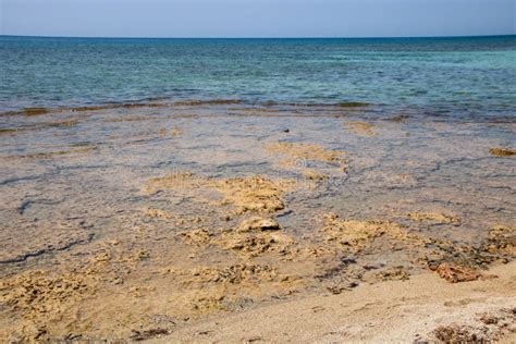 Pescoluse beach stock image. Image of italy, blue, shore - 251890937