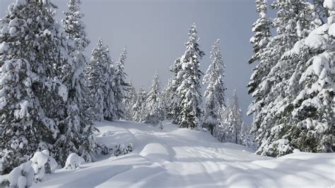 Winter Getaways — The Nature Conservancy in Washington