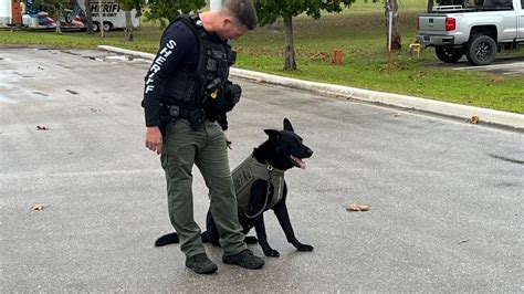 Dogs Protected: Bulletproof vests for dogs donated to Indian River ...