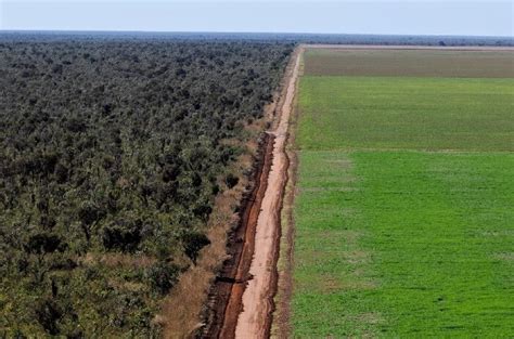 Déforestation : au Brésil, la savane du Cerrado est devenue la nouvelle ...