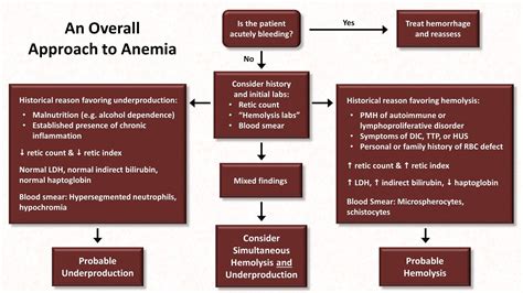 Anemia: Lesson 5 - An Approach to Diagnosis - YouTube