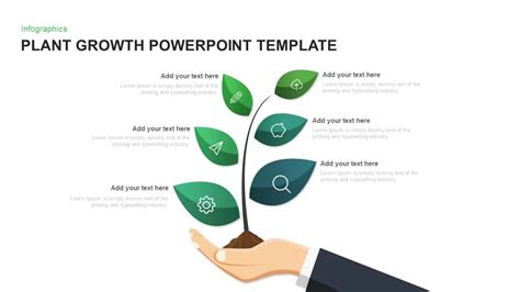 Plant Growth Template for PowerPoint and Keynote - Slidebazaar.com