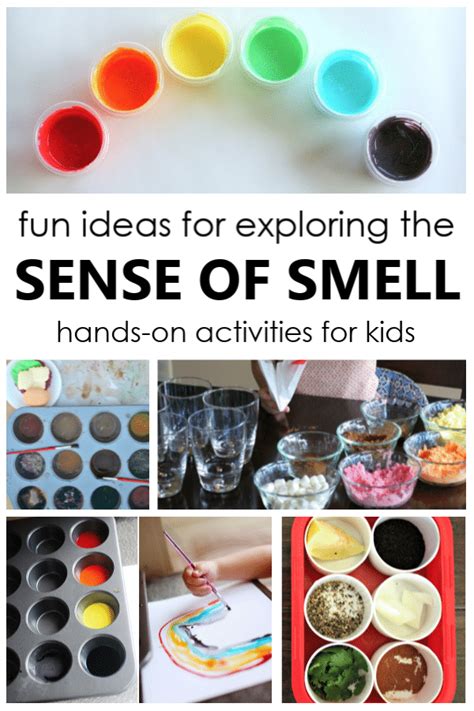 20 Fun Ideas for Exploring the Sense of Smell