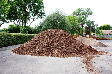 How Much It Will Cost to Mulch