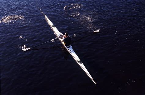 Free Stock photo of Man practising sculling in a single boat | Photoeverywhere