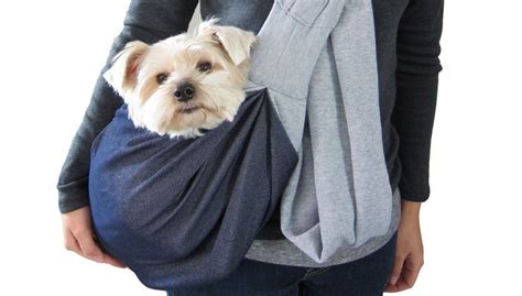 Pet Carriers: Dog Backpack or Dog Sling? It's a Matter of Convenience