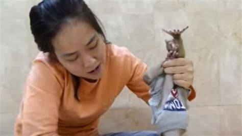 YouTube videos showing monkey abuse slammed by PETA, Action for Primates