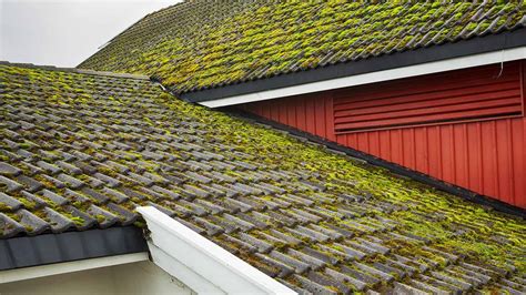 How to Remove Moss From a Roof