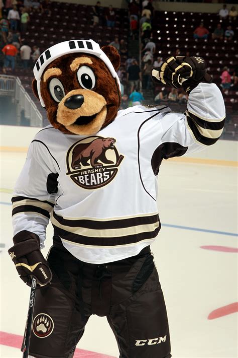 Hershey Bears >Coco The Bear | Hershey bears, Bear, Mascot