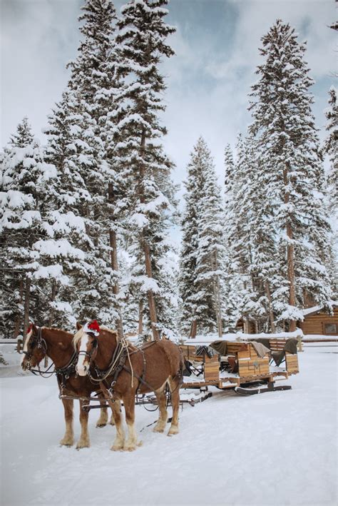 Sleigh Ride Dinner | Lone Mountain Ranch