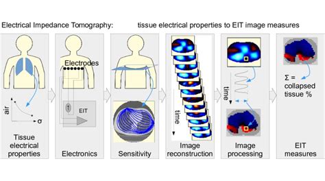 Electrical Impedance Tomography: Tissue Properties to Image Measures - IEEE Transactions on ...