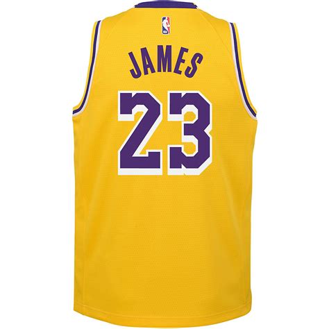 NBA Boys' Los Angeles Lakers LeBron James 23 Icon Swingman Jersey | Academy