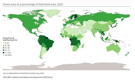 World's Forests Map | Wondering Maps