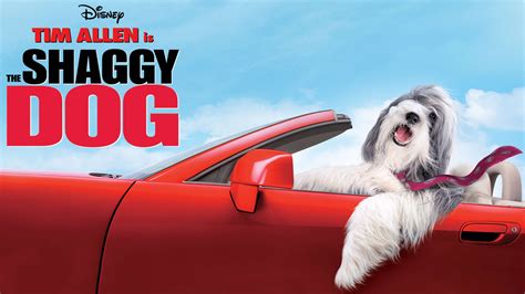 The Shaggy Dog (2006) - AZ Movies