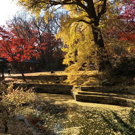 Secret Garden - Changdeokgung Palace Autumn Guide | Where to go, Secret garden, Unesco world ...