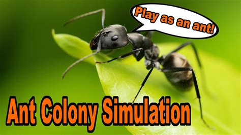 Play as an ant! | Ant Colony Simulation - YouTube