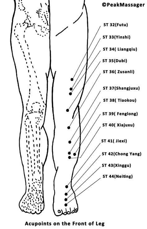 Leg AcuPressure Points: 50+ Pressure Points in Leg - PeakMassager