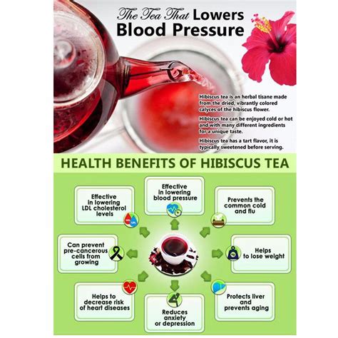 Hibiscus Tea Benefits and Side Effects | Karkade and Roselle tea