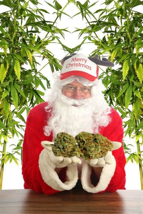 Company Selling A Weed Advent Christmas Calendar Available Worldwide - International Highlife