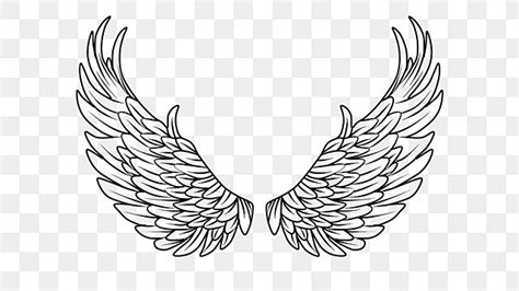 Angel Wings Outline PNG Transparent Images Free Download | Vector Files | Pngtree