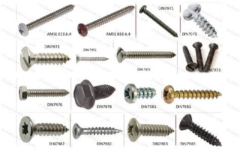 Tapping Screws by F R Fasteners, Tapping Screws from Jamnagar Gujarat India | ID - 4307008