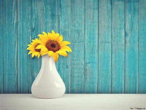 sunflowers in a vase 2K wallpaper download