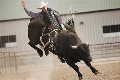 Download A Man Riding A Bull | Wallpapers.com