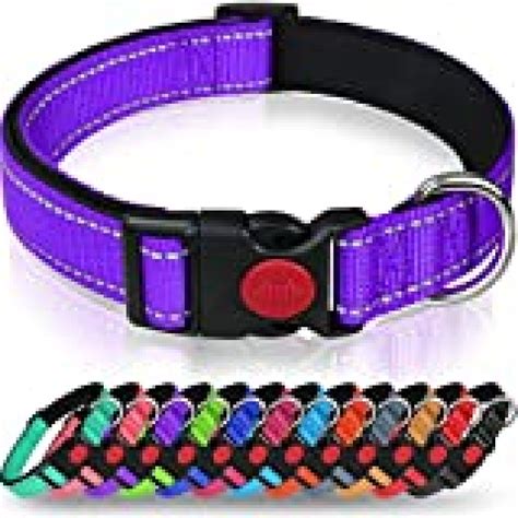 Taglory Reflective Dog Collar with Safety Locking Buckle, Adjustable Nylon Pet Collars for ...