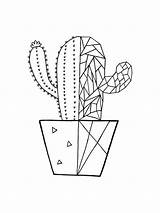 Succulent coloring Pages sketch template