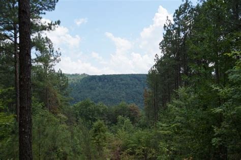 Cleared Private Home Site With Views | River Gorge Ranch