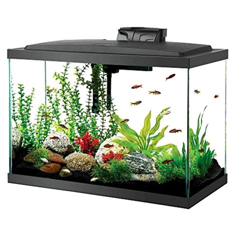 Aquarium Fish Tank Starter Kit With Led Lighting 20 Gallon Aqueon Fish ...