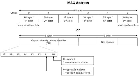 MAC Address Lookup Tool
