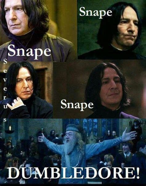 Potter Puppet Pals Snape Meme, Professor Severus Snape, Harry Potter Severus Snape, Harry Potter ...