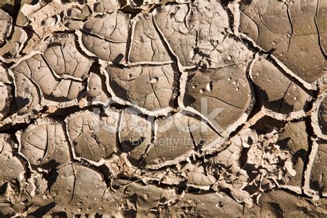 Cracked Mud Background/Texture Stock Photo | Royalty-Free | FreeImages