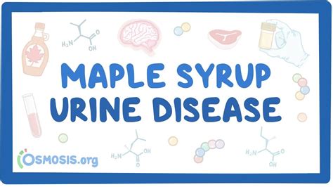 Maple syrup urine disease: Video, Causes, & Meaning | Osmosis