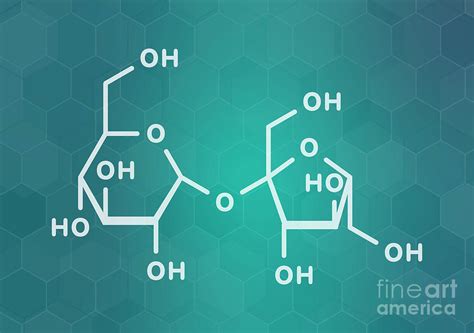 Sucrose Sugar Molecule Photograph by Molekuul/science Photo Library ...