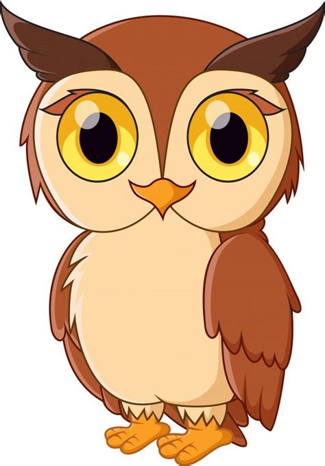 Premium Vector | Cute cartoon owl isolated on white | Pássaros de ...